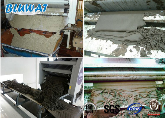 কেনা স্লাজ ডিওয়াটারিং ক্যাটানিক পলিঅ্যাক্রিলামাইড CPAM Blufloc SGS BV সার্টিফিকেট অনলাইন উত্পাদন