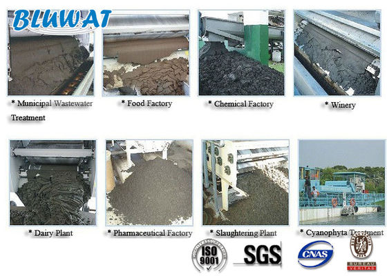 কেনা স্লাজ ডিওয়াটারিংয়ের জন্য সাদা পাউডার ক্যাটিনিক পলিঅ্যাক্রিলামাইড অনলাইন উত্পাদন