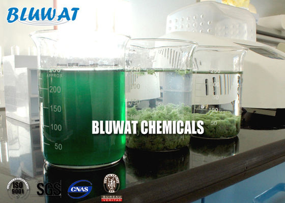 কেনা জল decolouring এজেন্ট Coagulant শ্রীলঙ্কা টেক্সটাইল রঞ্জনবিদ্যা ভরাট রঙ চিকিত্সা অনলাইন উত্পাদন