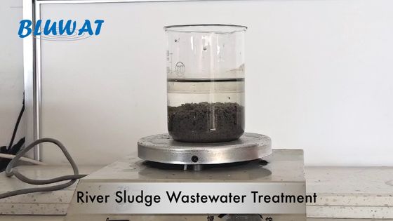 কেনা BV Anionic Polyacrylamide Flocculant River Sladge বর্জ্য জল চিকিত্সা স্লাজ ঘন অনলাইন উত্পাদন