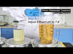 ওয়াইনারি বর্জ্য জল কিভাবে চিকিত্সা করা হয়?