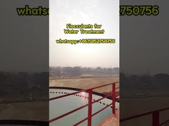 জল চিকিত্সার জন্য পলিঅ্যাক্রিলামাইড পলিমার ফ্লকুল্যান্ট